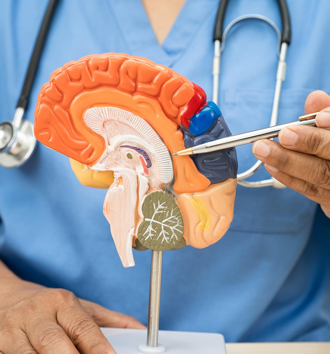 Endoscopic & Pituitary Surgery
